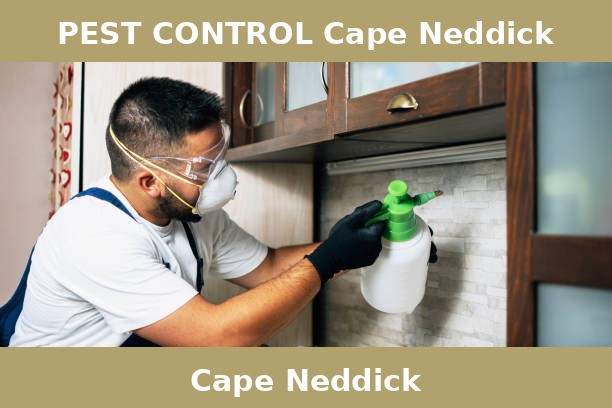 PEST CONTROL Cape Neddick